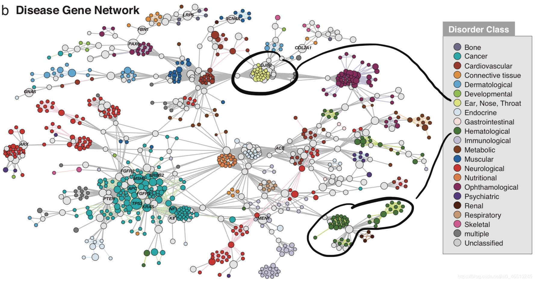 神经网络的学习方式 - 从网络传播到图卷积