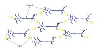 在构建神经网络中，数学有多重要？