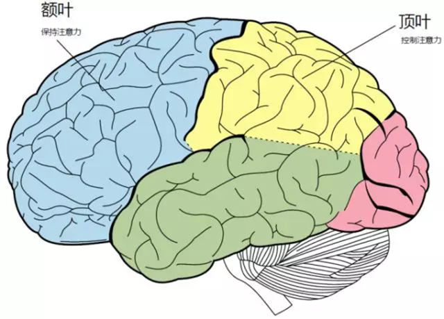 游戏神经科学:游戏怎样改变了你的大脑?