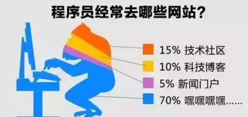 11张图揭露了程序员的日常生活
