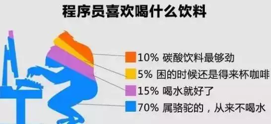 11张图揭露了程序员的日常生活