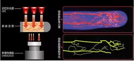 智能门锁常见的六种生物识别技术原理解析