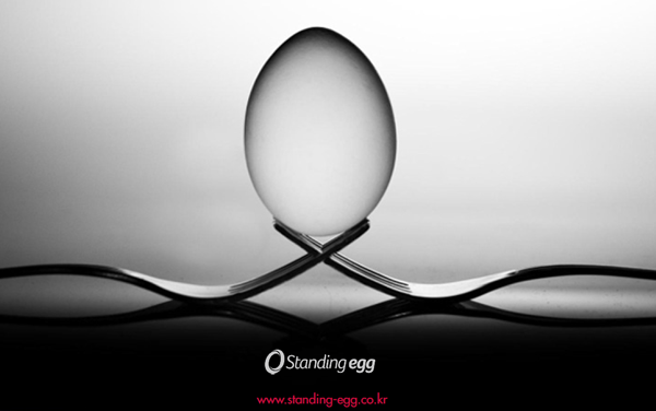 专门研究MEMS解决方案的Standing Egg